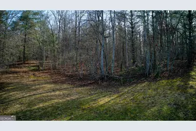 595 Wildlife Trail, Morganton, GA 30560 - Photo 44