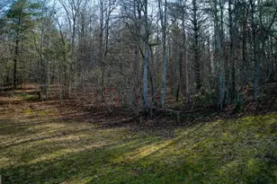 595 Wildlife Trail, Morganton, GA 30560 - Photo 44