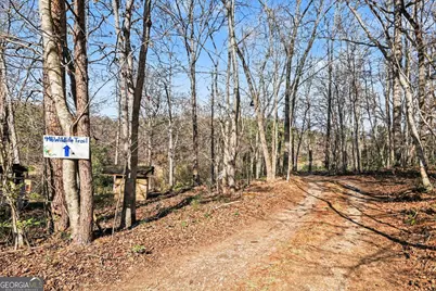 595 Wildlife Trail, Morganton, GA 30560 - Photo 22