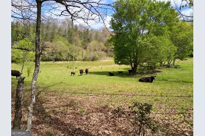595 Wildlife Trail, Morganton, GA 30560 - Photo 56