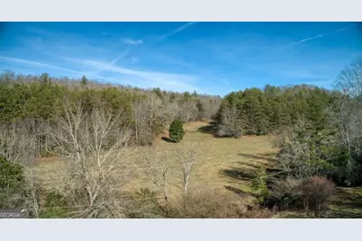 595 Wildlife Trail, Morganton, GA 30560 - Photo 36