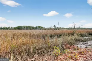 140 Mosswood Dr, Savannah, GA 31405 - Photo 50