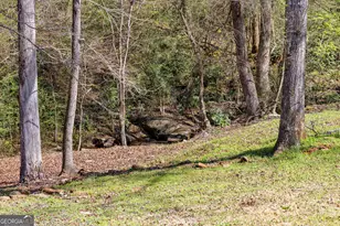 276 Davis Lake Rd, Thomaston, GA 30286 - Photo 96