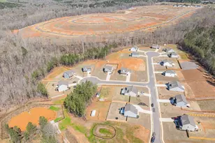 228 River Station Dr, Monroe, GA 30656 - Photo 48