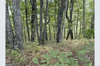 1417 Foxhound Trail NE, Ranger, GA 30734 - Photo 4