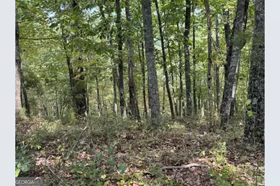 1417 Foxhound Trail NE, Ranger, GA 30734 - Photo 6