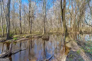 24100 US Hwy 441 S, Milledgeville, GA 31061 - Photo 48