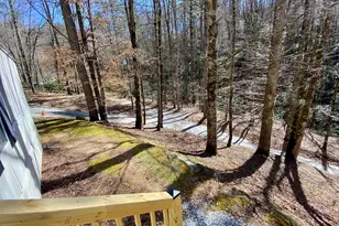 119 Cub Ln, Rabun Gap, GA 30568 - Photo 28