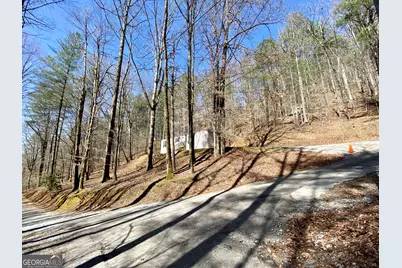 119 Cub Lane, Rabun Gap, GA 30568 - Photo 20