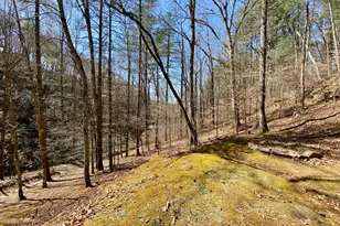 119 Cub Ln, Rabun Gap, GA 30568 - Photo 32