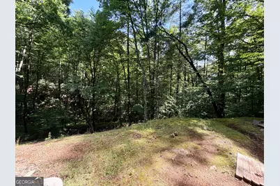 119 Cub Lane, Rabun Gap, GA 30568 - Photo 18