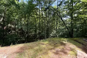 119 Cub Ln, Rabun Gap, GA 30568 - Photo 18