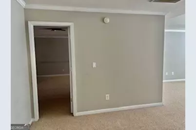 10955 Southwood Drive, Hampton, GA 30228 - Photo 30