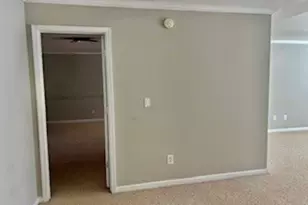 10955 Southwood Dr, Hampton, GA 30228 - Photo 30