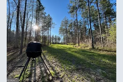 3312 Hunts Chapel Road, Sparta, GA 31087 - Photo 34