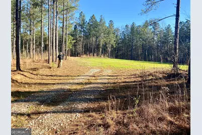 3312 Hunts Chapel Road, Sparta, GA 31087 - Photo 72