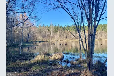 3312 Hunts Chapel Road, Sparta, GA 31087 - Photo 78