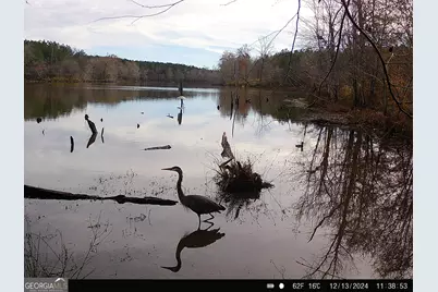 3312 Hunts Chapel Road, Sparta, GA 31087 - Photo 44