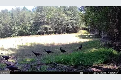 3312 Hunts Chapel Road, Sparta, GA 31087 - Photo 46