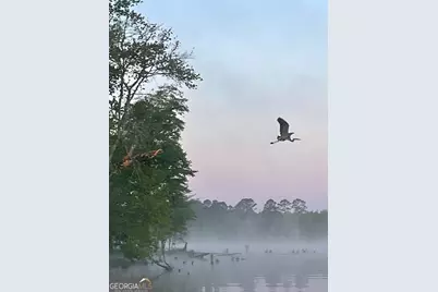 3312 Hunts Chapel Road, Sparta, GA 31087 - Photo 26