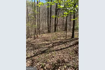 861 Boss Hardy Road, Winder, GA 30680 - Photo 8