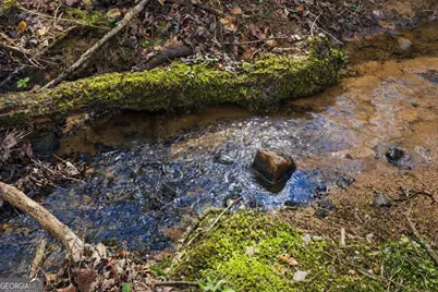 2345 Stonepile Road #LOT 1, Clarkesville, GA 30523 - Photo 4