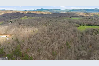 2345 Stonepile Road #LOT 1, Clarkesville, GA 30523 - Photo 24