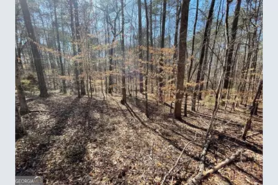 Lot 62 Warbler Lane, Monticello, GA 31064 - Photo 4