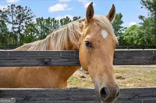 1330 Hwy 110, Waynesville, GA 31566 - Photo 86