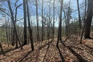 Tract 3A Big View Ln, Clayton, GA 30525 - Photo 1