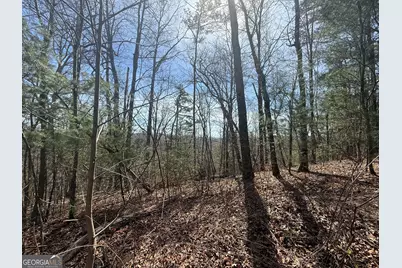 Tract 3A Big View Lane, Clayton, GA 30525 - Photo 2