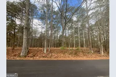 8615 Smith James Road #TRACT 2, Snellville, GA 30039 - Photo 12