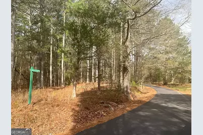 8615 Smith James Road #TRACT 2, Snellville, GA 30039 - Photo 8