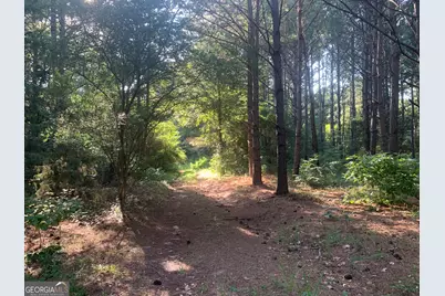 0 Pedenville Road, Concord, GA 30206 - Photo 28