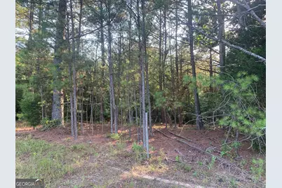 0 Pedenville Road, Concord, GA 30206 - Photo 10