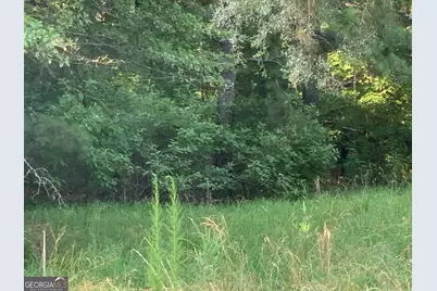 0 Pedenville Road, Concord, GA 30206 - Photo 32