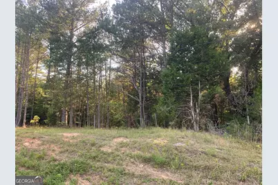 0 Pedenville Road, Concord, GA 30206 - Photo 12