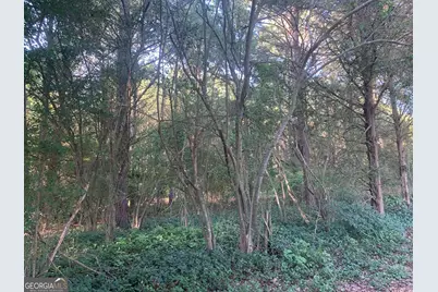 0 Pedenville Road, Concord, GA 30206 - Photo 30