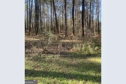 137 Honey Creek Road, McDonough, GA 30252 - Photo 4