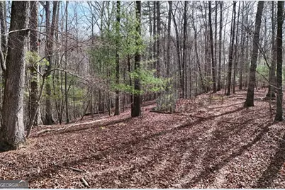 Lot #8 Casa Rio Drive, Cornelia, GA 30531 - Photo 8