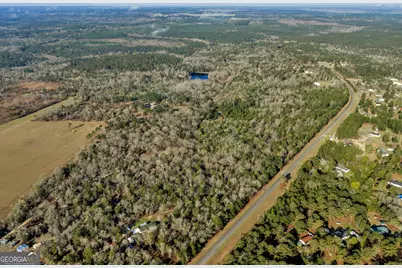 271 Dr Brooks Road, Box Springs, GA 31801 - Photo 12