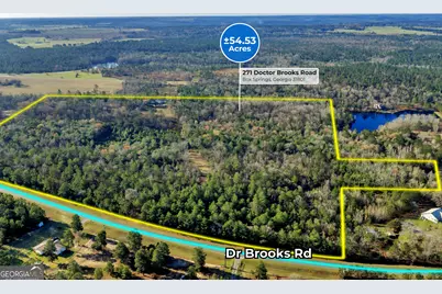 271 Dr Brooks Road, Box Springs, GA 31801 - Photo 2