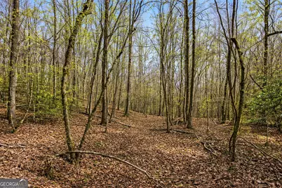 2335 Stonepile Road #LOT 2, Clarkesville, GA 30523 - Photo 16