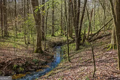 2335 Stonepile Road #LOT 2, Clarkesville, GA 30523 - Photo 4