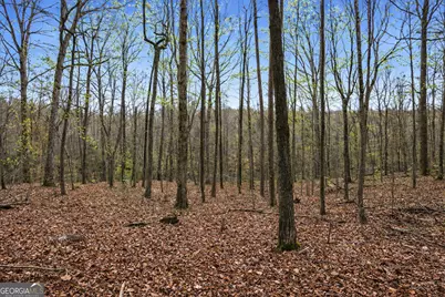 2335 Stonepile Road #LOT 2, Clarkesville, GA 30523 - Photo 12