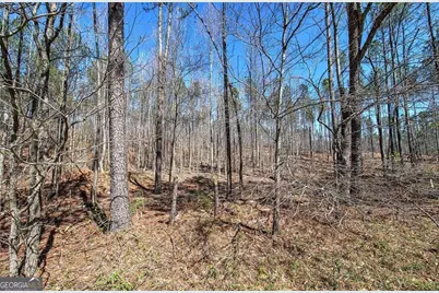 0 Alabama Highway, Rome, GA 30165 - Photo 30