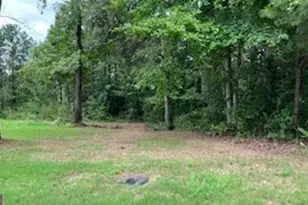 1114 E Shoreview Rd, McDonough, GA 30253 - Photo 1