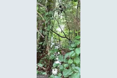 1114 E Shoreview Road, McDonough, GA 30253 - Photo 4