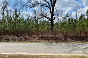 0 Baker Rd, Waverly Hall, GA 31831 - Photo 1