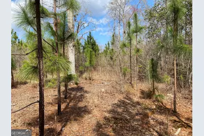 0 Baker Rd, Waverly Hall, GA 31831 - Photo 2